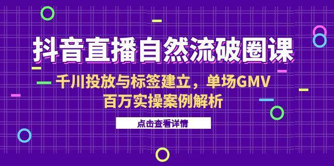 （15136期）抖音直播自然流破圈课-6月，千川投放与标签建立，单场GMV百万实操案例解析-大熊网创