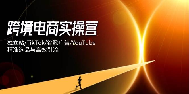 （14419期）跨境电商实操营：独立站/TikTok/谷歌广告/YouTube，精准选品与高效引流-大熊网创