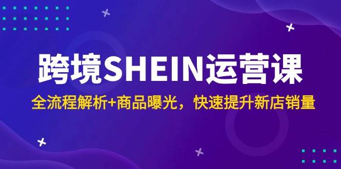 （14832期）跨境SHEIN运营课，全流程解析+商品曝光，快速提升新店销量-大熊网创