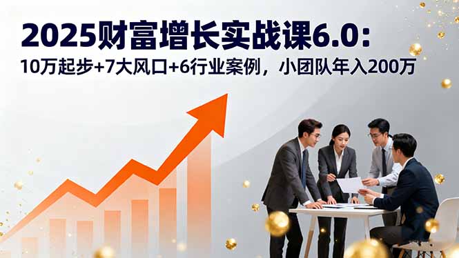2025财富增长实战课6.0：10万起步+7大风口+6行业案例，小团队年入200万-大熊网创
