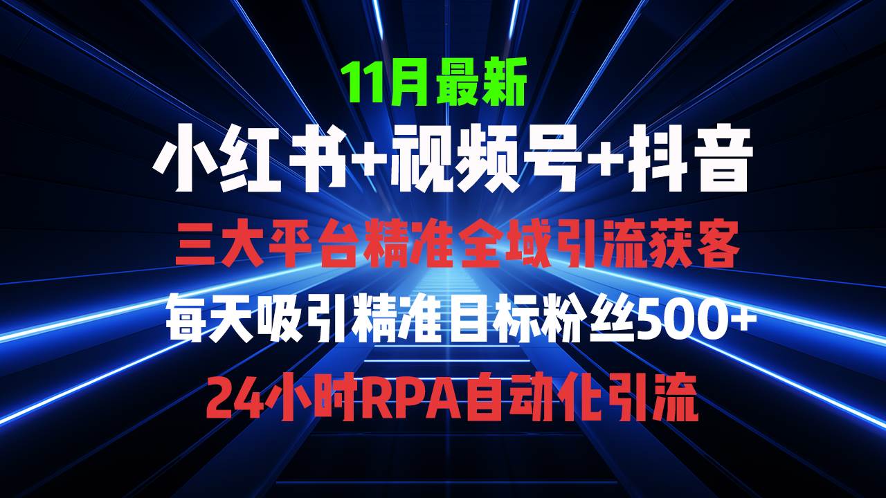 （13259期）全域多平台引流私域打法，小红书，视频号，抖音全自动获客，截流自…-大熊网创