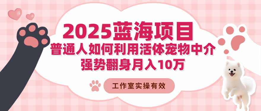 2025蓝海项目：普通人如何利用活体宠物中介，强势翻身月入10万-大熊网创