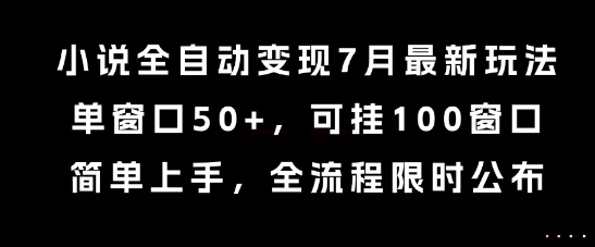 小说全自动变现7月玩法，单窗口50+，可挂100窗口，简单上手，全流程限时公布【揭秘】-大熊网创