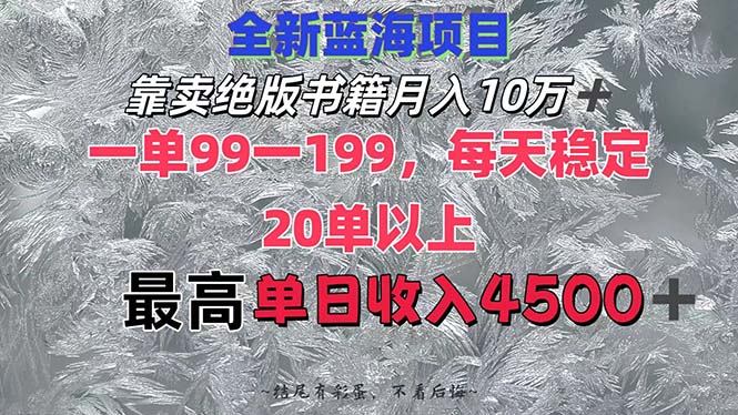 （12512期）靠卖绝版书籍月入10W+,一单99-199，一天平均20单以上，最高收益日入4500+-大熊网创