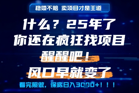 什么？25年你还在疯狂找项目做，醒醒吧，看完这些你全都懂了！【揭秘】-大熊网创