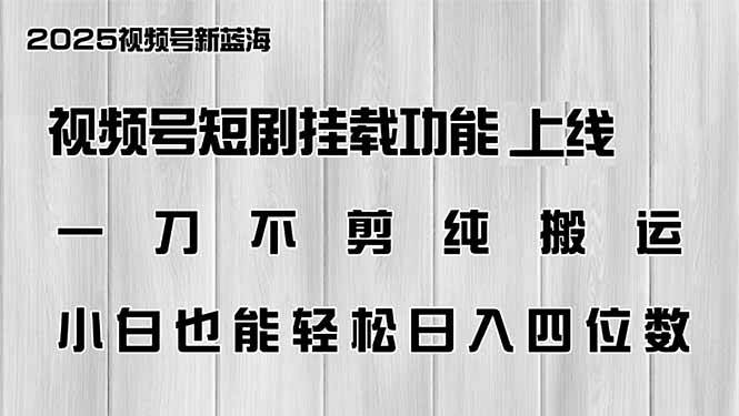 （14310期）视频号短剧挂载功能上线，一刀不剪纯搬运，小白也能轻松日入四位数-大熊网创