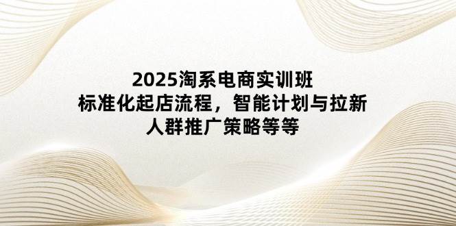 （14522期）2025淘系电商实训班：标准化起店流程，智能计划与拉新，人群推广策略等等-大熊网创