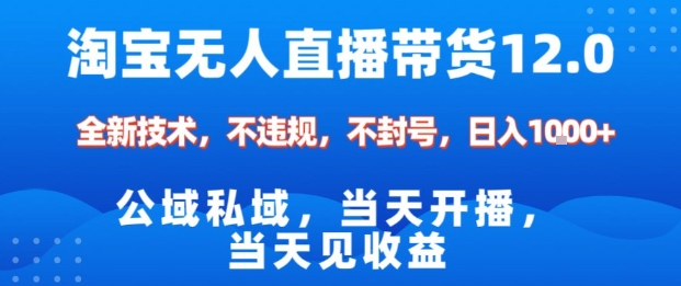 淘宝无人直播12.0，公域私域技术，不封号，不违规布局双十一流量风口，日入1k(独家技术)【揭秘】-大熊网创