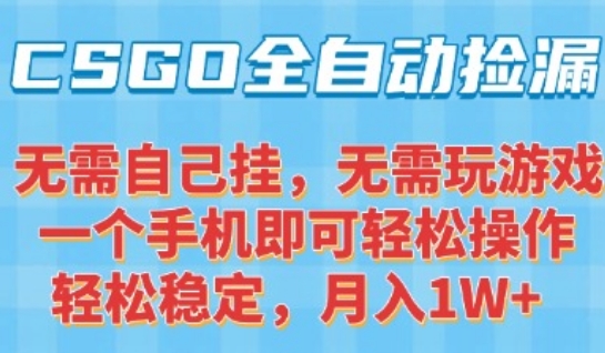CSGO自动捡漏项目，最新独家玩法，一个手机可操作，新手小白轻松月入1W+，操作简单易上手【揭秘】-大熊网创