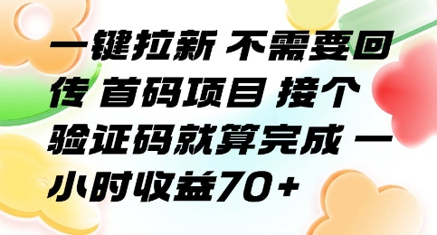 一键拉新 不需要回传 首码项目 接个验证码就算完成 一小时收益70+【揭秘】-大熊网创