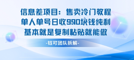 信息差项目：售卖冷门教程单人单号日收9张纯利基本就是复制粘贴就能做-大熊网创