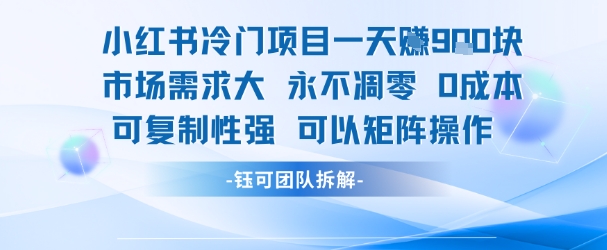 小红书冷门项目一天收益9张，市场需求大，0成本，可复制性强可以矩阵操作-大熊网创