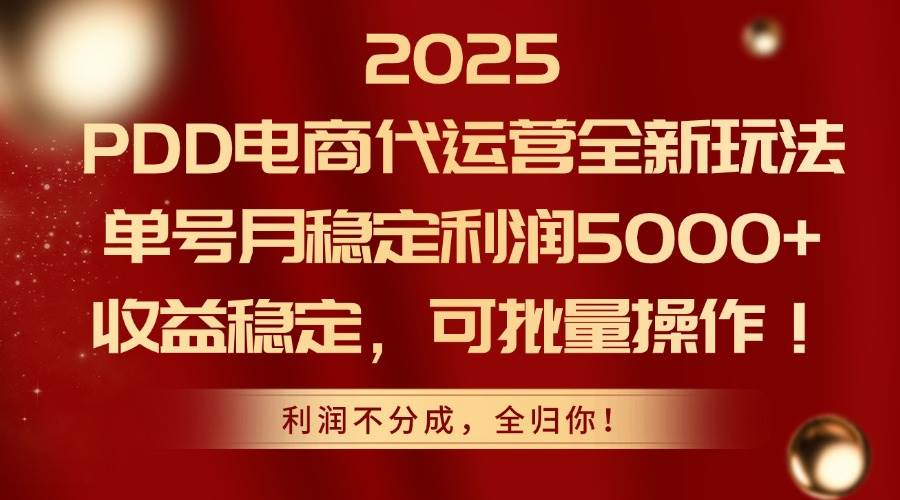 （14839期）2025PDD电商代运营全新玩法，单号月稳定利润5000+，收益稳定，可批量操作-大熊网创