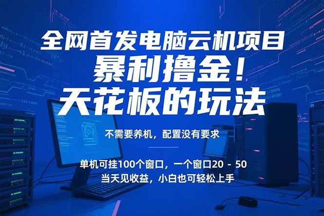 （15323期）电脑云机项目 暴力撸金玩法，不需要养机 配置没有要求 单机100个窗口一…-大熊网创