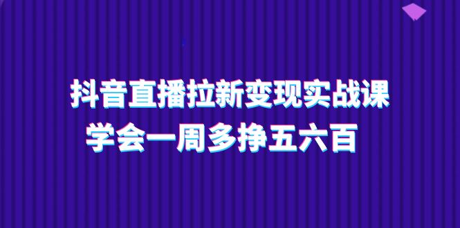 （11254期）抖音直播拉新变现实操课，学会一周多挣五六百（15节课）-大熊网创
