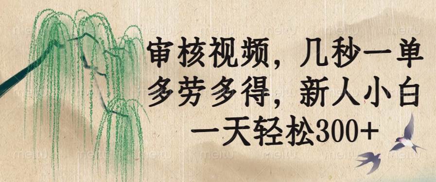 （14203期）审核视频，几秒一单，多劳多得，新人小白一天轻松300+-大熊网创